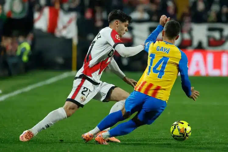 雨燕体育直播免费高清